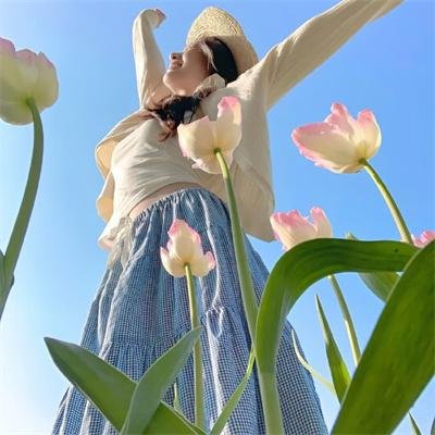 无节操摄影部封面
